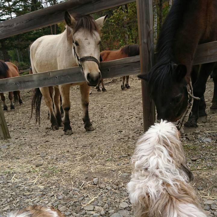 94580034 30dc 4f8f a365 dd11a3541742