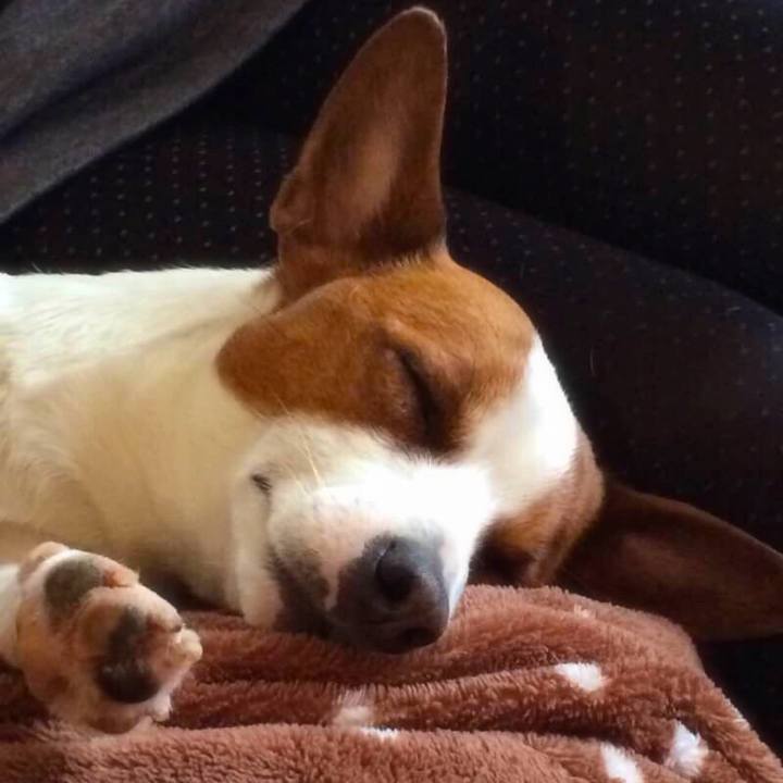 94585bb9 ff82 4f89 85ae 903f78a3b6a0