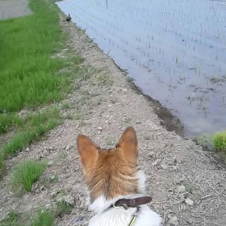 94587fd6 8263 463c 9629 a3ba1cce5d31