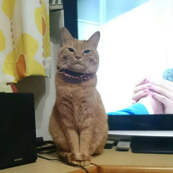 945948ce aa28 4d3d b13b be6a265fc19e