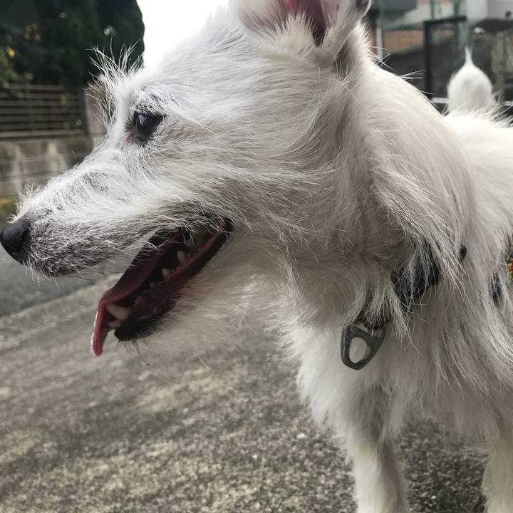 94595594 b590 4ed0 8905 e45d4db7c1ff