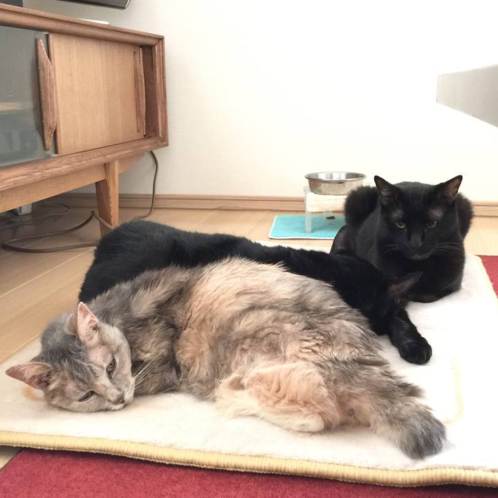 9459695d 266e 433e a335 20d04f2e8a6a