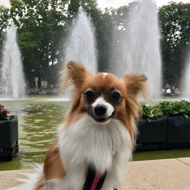 945a00dc 9457 4f27 9b88 18c085716d9a