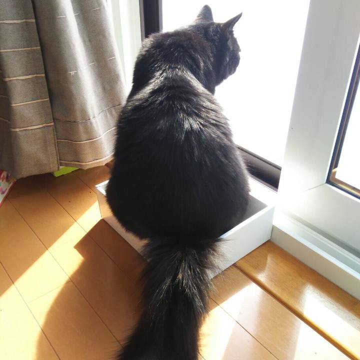 945a1dfb fd31 49e4 9d7a 8d6fc93f6c3d