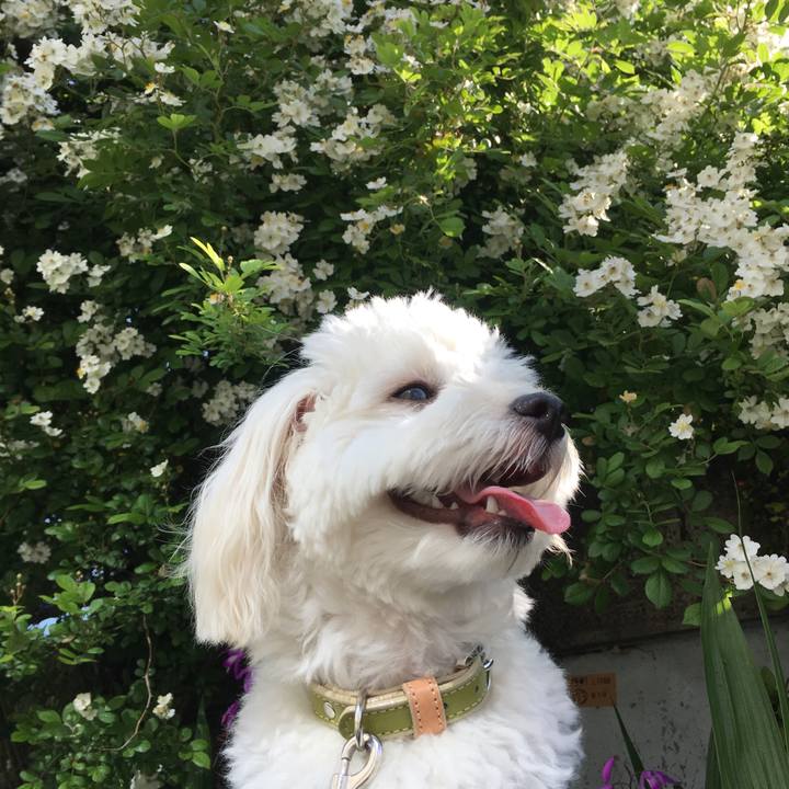 945a2d21 0405 436e b155 969058b477c0