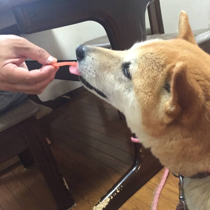 945a4838 2de6 47d5 b053 8859b0cec32b