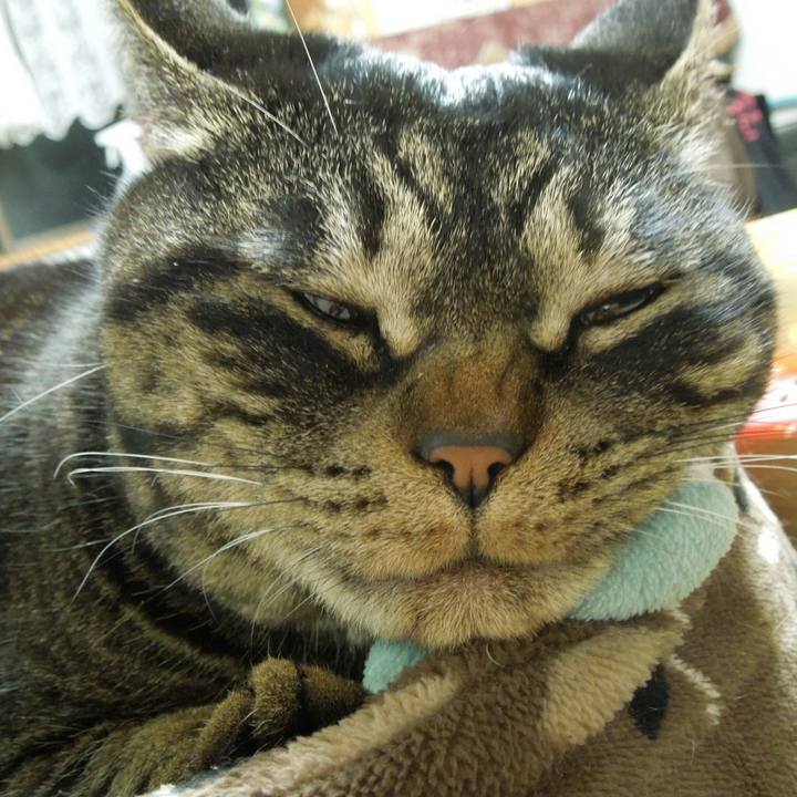 945a5ed0 f54f 423a bc22 147b9d916115