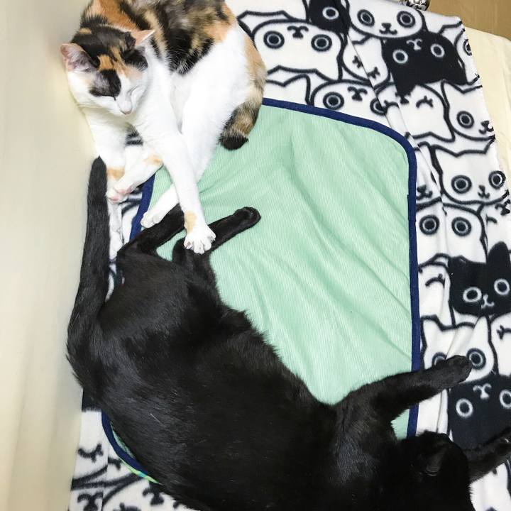 945ac8d9 6ff9 42df a444 d0af1c029b92