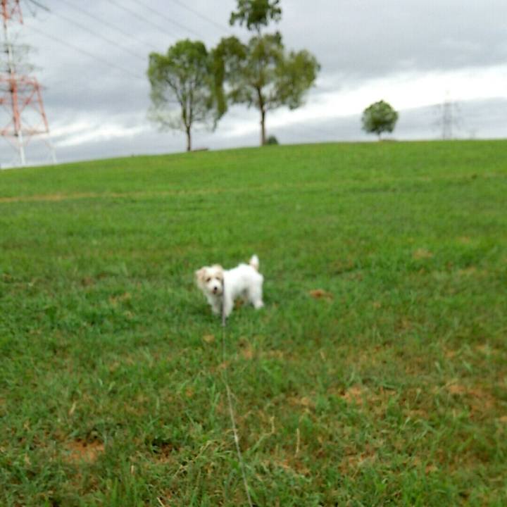 945b6960 6cdc 4cc9 8513 a7e784799ac1