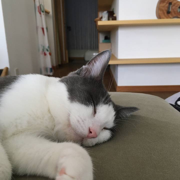 945b83da 07c4 4bb7 b402 8dab378e66e0