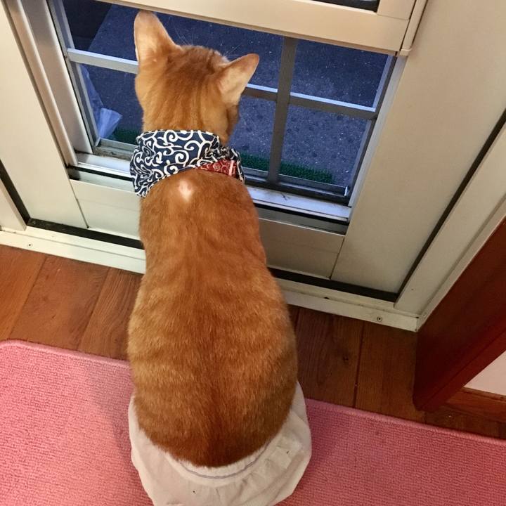 945d8488 bc38 454e 884b a7e0392e6319