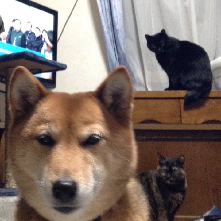 945d99a6 f9ab 47d5 a6db cff65986e3ac