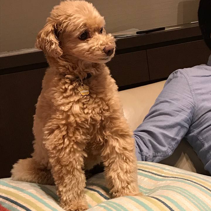 945e732e 6145 4bb1 b0fd 3e55c9387c5b