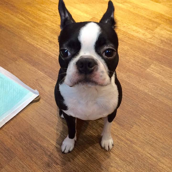 945e79ff b9af 434b b083 d128bbfaa3c0