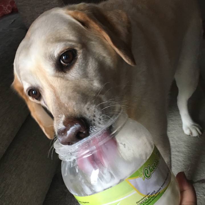 945ed5cd 86c1 4781 9f7b 8a8b41ae317d