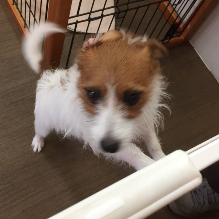 945f9634 342a 4a62 a061 84ebacade465