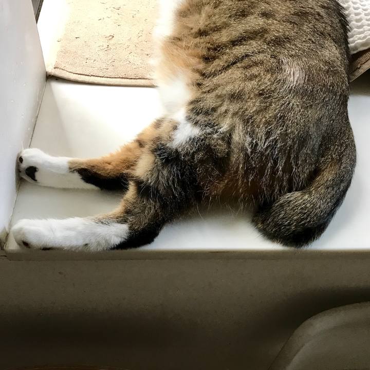 94600860 5932 419f ae5f 6e6830d0a5b4