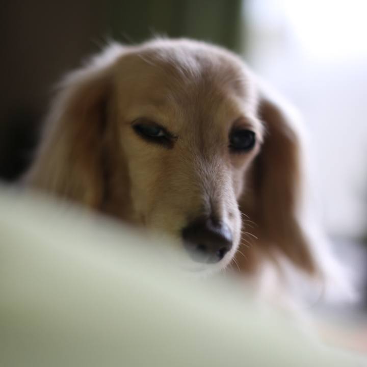 94602b15 76f4 4bee 90cc 4ee92501deff