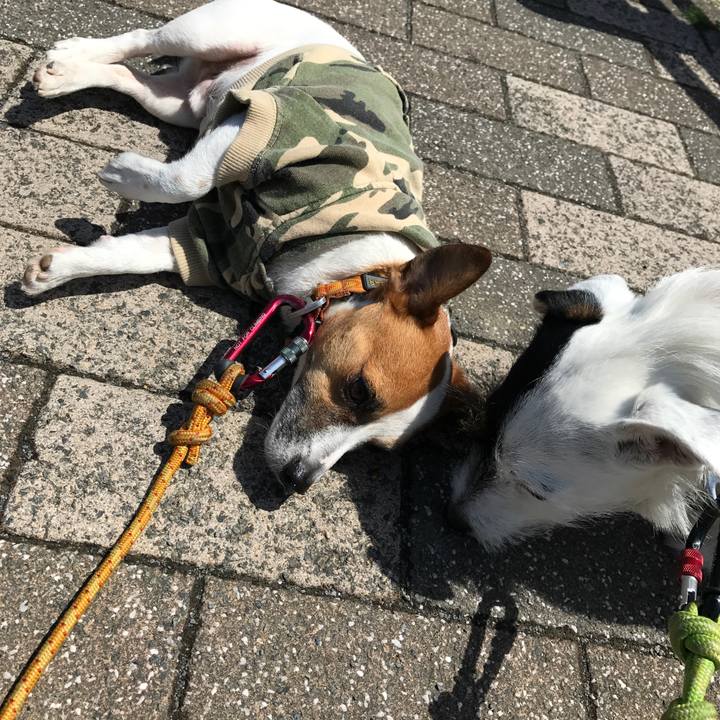 94608771 271b 4fb0 a1df 31f9c127a091