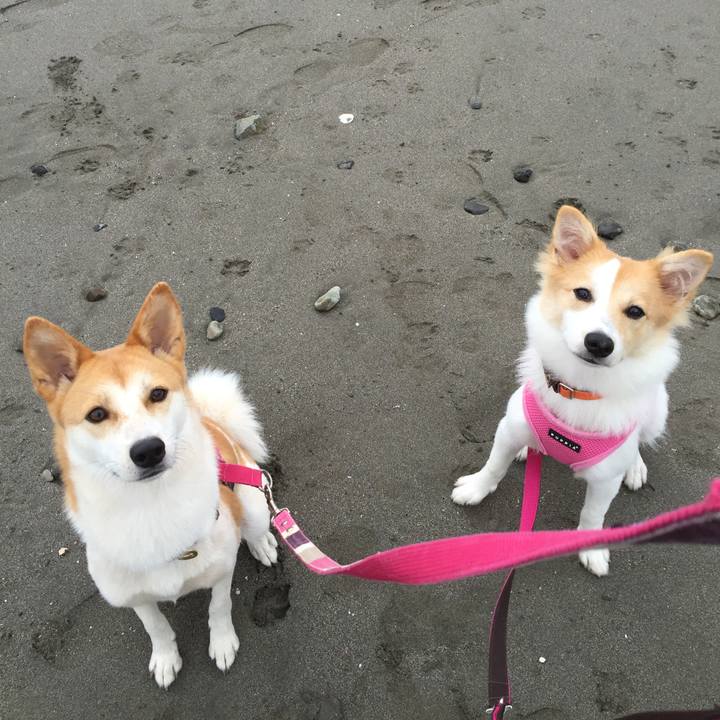 9461586a 545f 446f b32b 92e3be467d3f