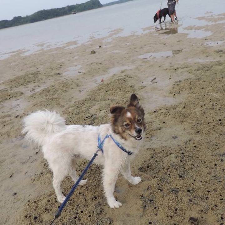 94616b97 cf1a 4641 913d 473d159d295d