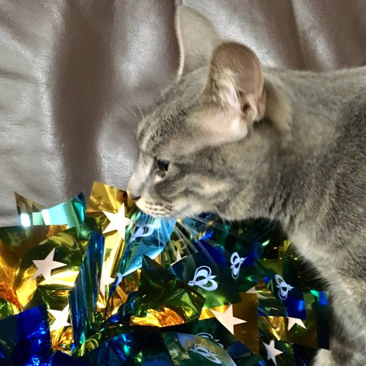 9461a3cd b696 42cc 986b b676301537f3