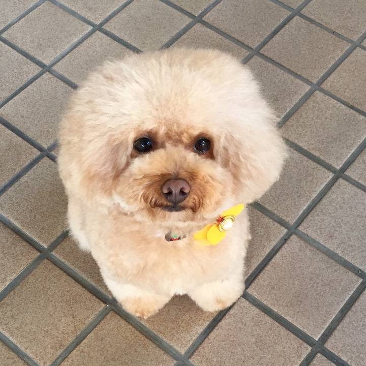 9461b84b 8ac8 4fa8 82cd 88735abbee00