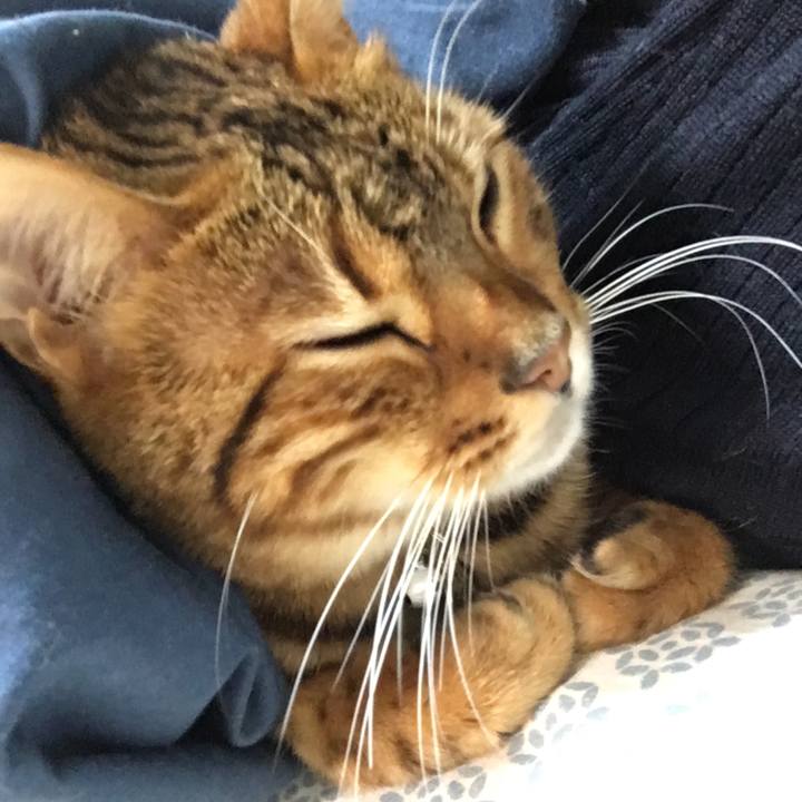 9461ca57 f915 4d99 b670 81ac211d938f