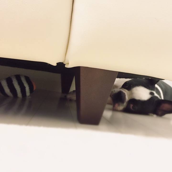 9461d424 4e0a 425c 8b2f 4ff4ca40f2a1