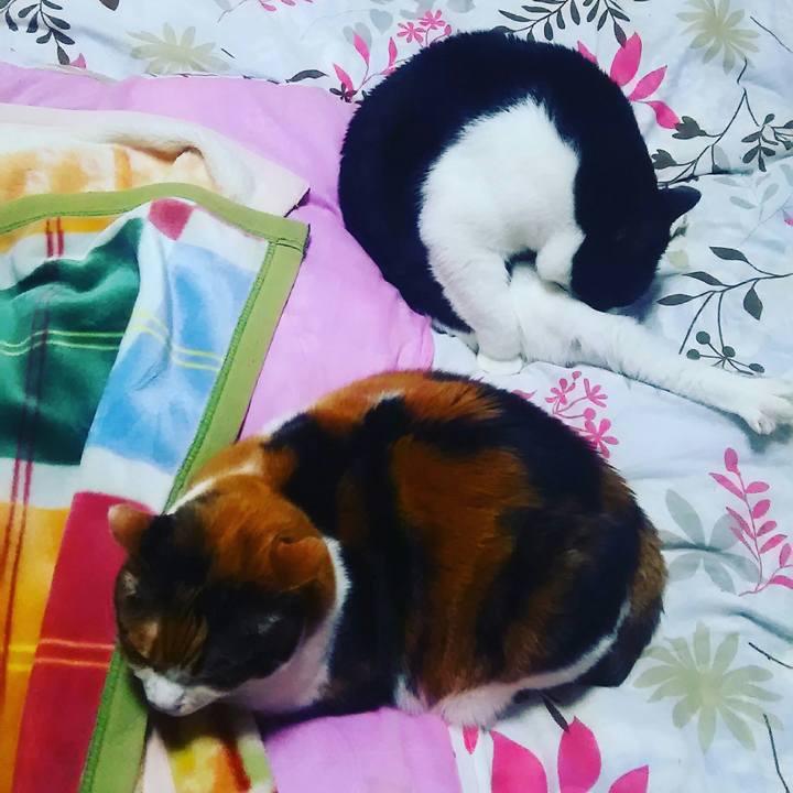 9461fe30 2368 4634 a041 1e65446b2a5a