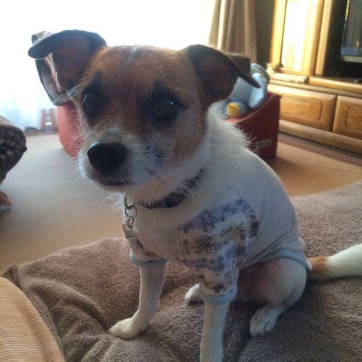 946258ba bd8b 4cee 9cbf a58231793ae5