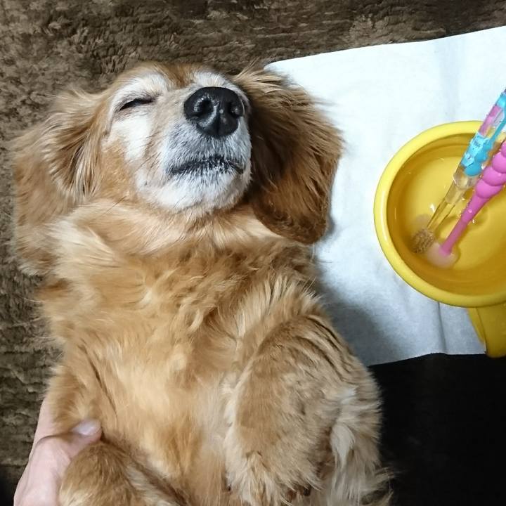 94626a52 ae9c 434b a9ab 93d7039d848d