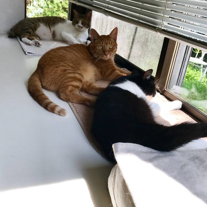 9462f4ae f96e 49e0 bd2e a24d04b31956