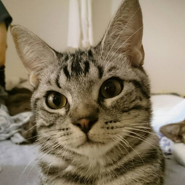 9463aab6 a341 4029 8981 106c4799f74d