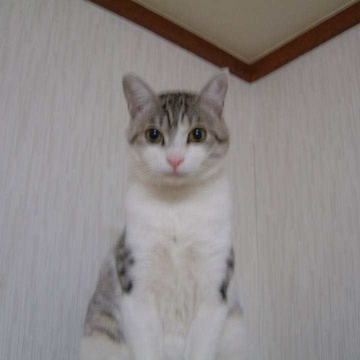 9464a592 810d 4e6c b770 35bc03a551b3