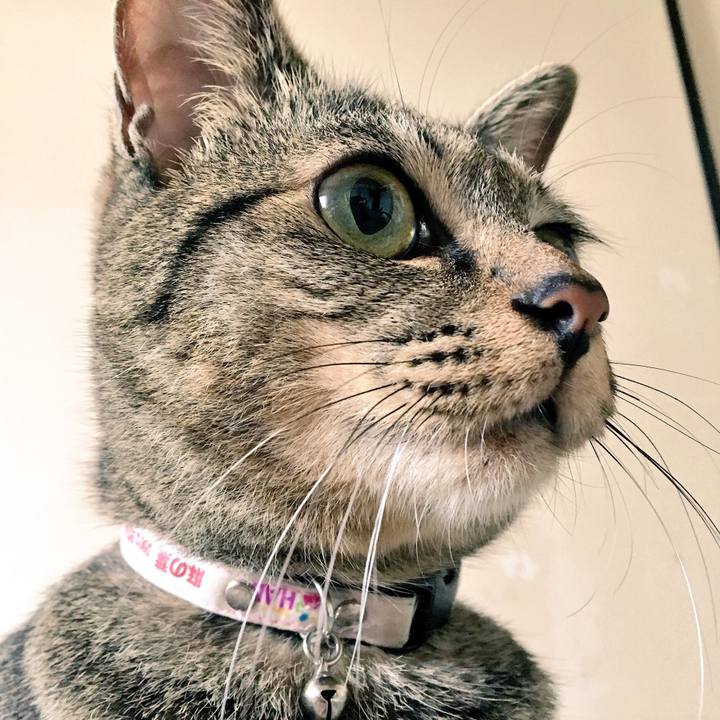 9465045f 58d1 439a 98cf ac99045eed19