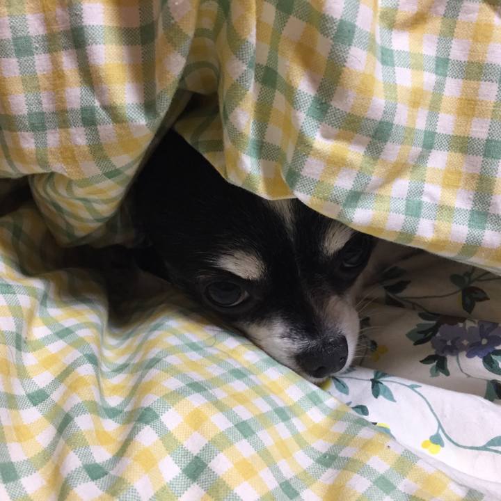 9465184d 275b 4f58 8aed 9a4ed75f8200