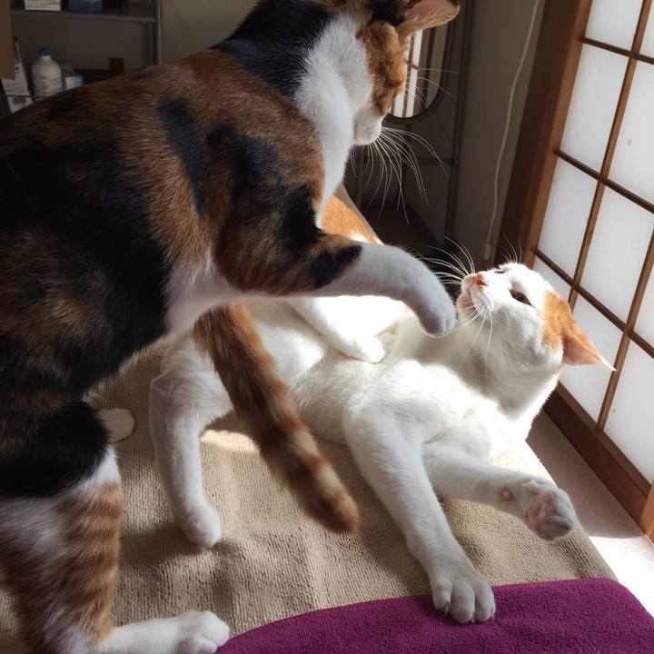 94651ca8 ecf6 4dfa b029 88af7cc573ff