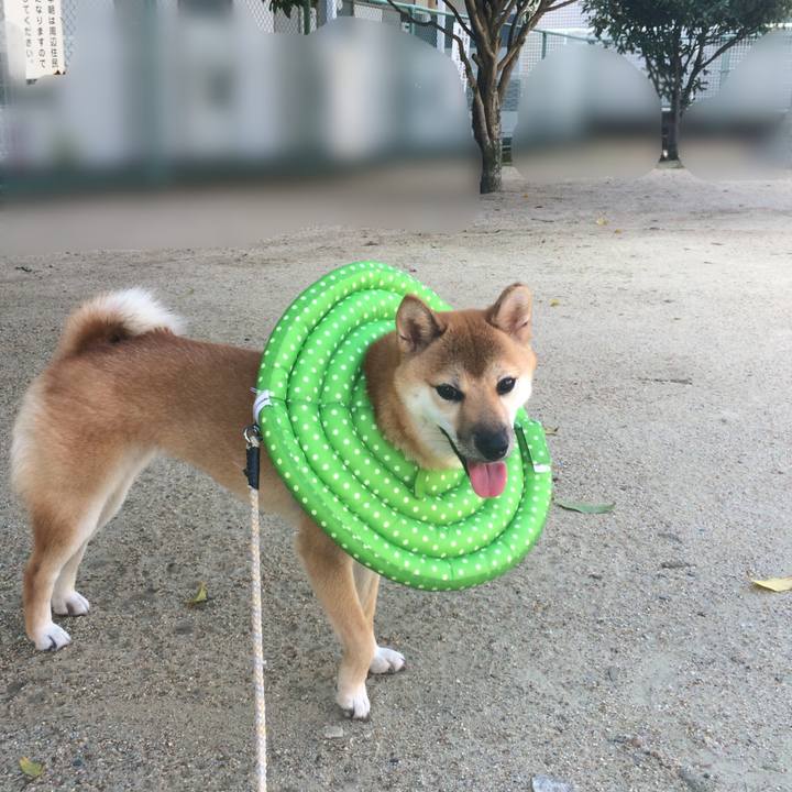 94656a0e 659a 40fb 85da 722ae41b7c36