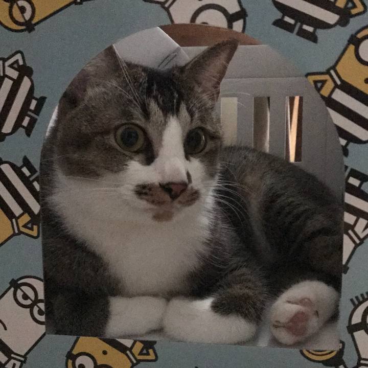 9465dec5 8974 48db 915f 7cf55c00db51