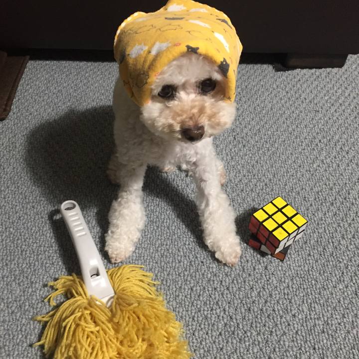 9465e60f 33d0 4511 8003 8148dbf19500