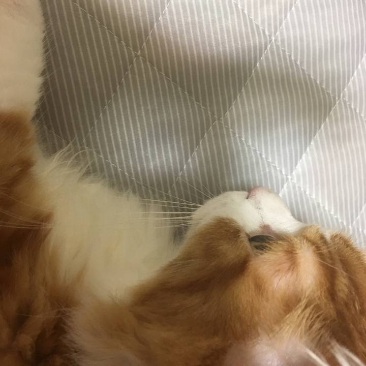 9466a514 a0e0 4f5b b37b 91e3cd0360af