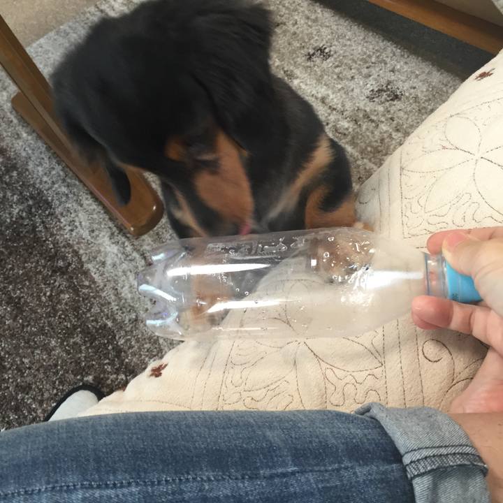 9466cdb6 c669 4ffd 8806 535d8293fc06