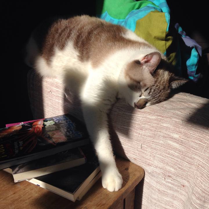 94673a54 5472 46b9 bd34 cf6c9f13380c