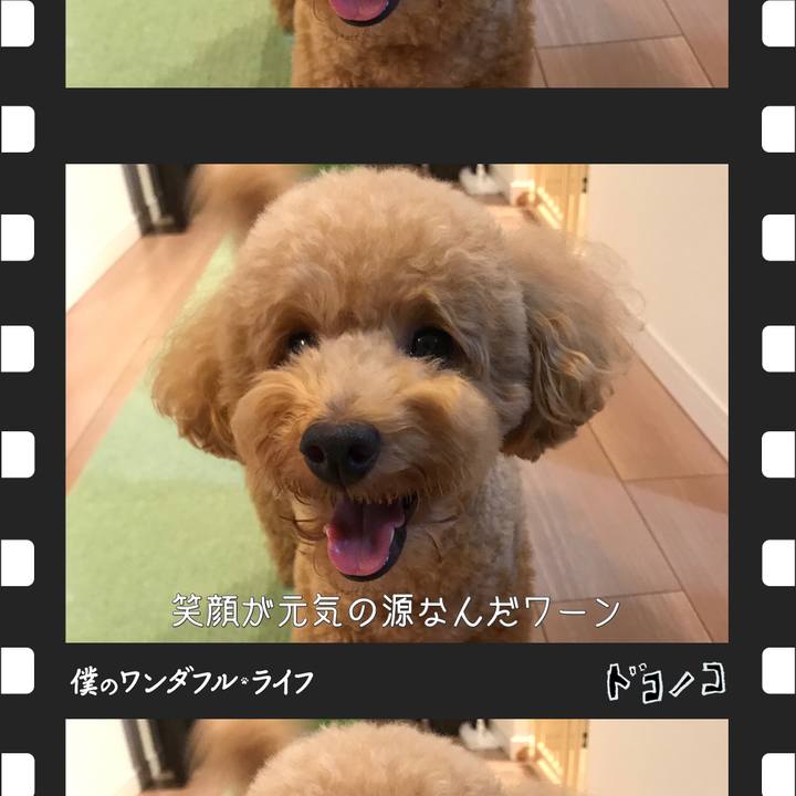 94677c4f 0403 4ad2 8369 f908106cc2e4