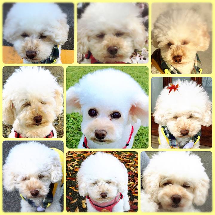 946781af dea9 427d b1b5 e1f609dc3f6c