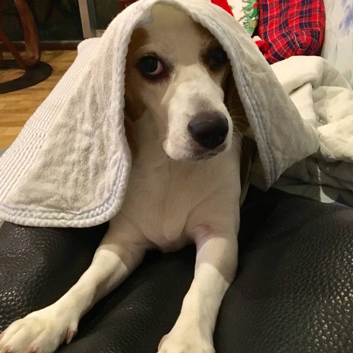 9467eee7 f507 4b14 b755 da8eb670aa60