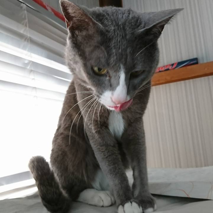 946803c2 22ab 41db 8241 c428a1ee6870