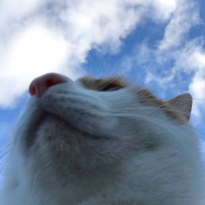 9468156a 8a7b 4095 a7f2 85f0ed53ba5b