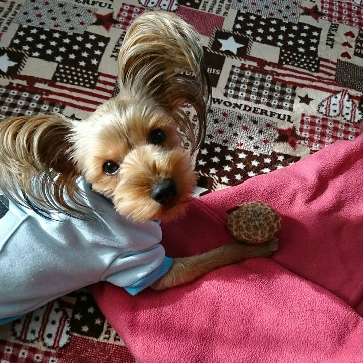 94682291 5f62 442d ae3c e170630aeecc